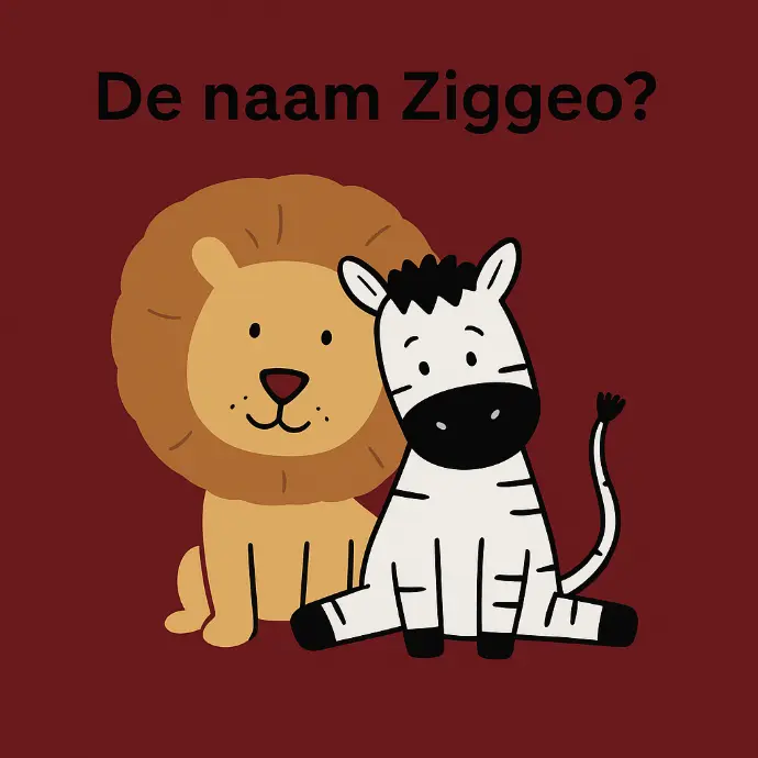 Betekenis achter Ziggeo